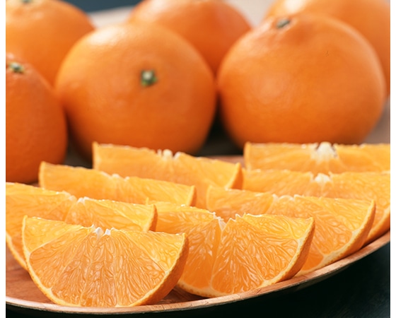 【予約】紅まどんな(愛媛県)1.7kg(8~10玉) お届け期間:12月上旬~中旬