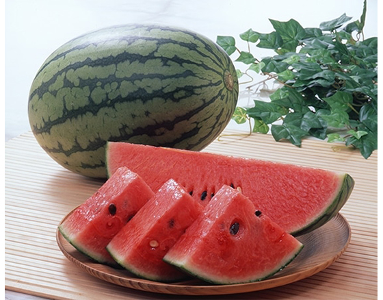 【予約】うり坊すいか 3.5kg(2玉) 出荷時期:5月中旬~5月下旬
