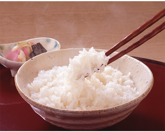 秋田県産特別栽培米あきたこまち 3kg