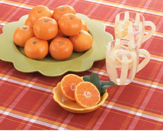 【予約】天下糖一 4.5kg ※出荷時期:1月下旬~2月中旬