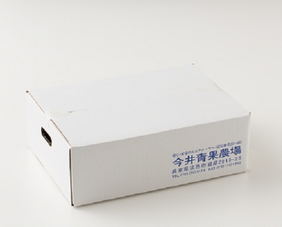 淡路島たまねぎ3kg