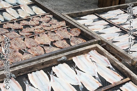 獲れたてよか魚の天日干し干物てんこ盛りお試しセット 旬アジ(大/小)・イトヨリ・サバ(4種10枚)