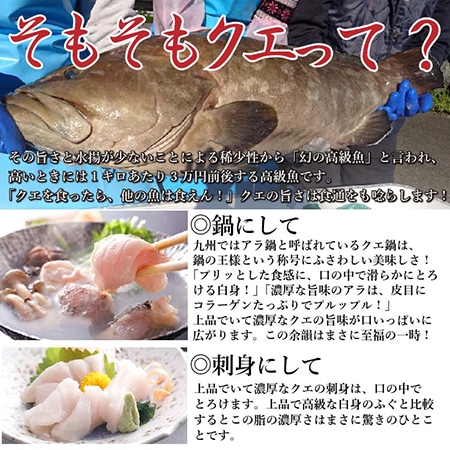 クエ冷しゃぶ 2~3人前