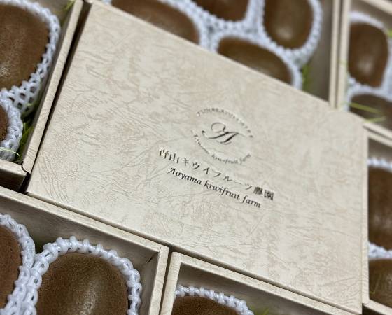 【予約】グリーンキウイフルーツ 5玉 化粧箱小箱 化粧袋付き 【青山キウイフルーツ農園】