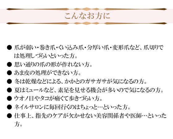 アリズポケット5