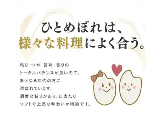 低温製法米 宮城県産ひとめぼれ 5kg×4 令和7年産