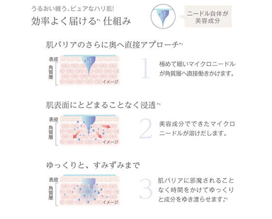 MICRO NEEDLE SYSTEM マイクロニードルパッチ ラグナボーテ