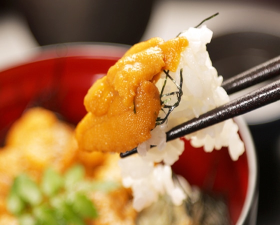 大手問屋の厳選うに500g(ミョウバン不使用※チリ産)【業務用タイプ】
