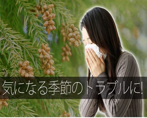 【無添加厳選】蓮根パウダー1か月分90g