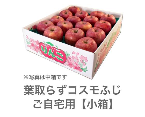 葉とらずコスモふじ りんご・家庭用(3kg・6~11玉)【いっちゃん林檎農園】