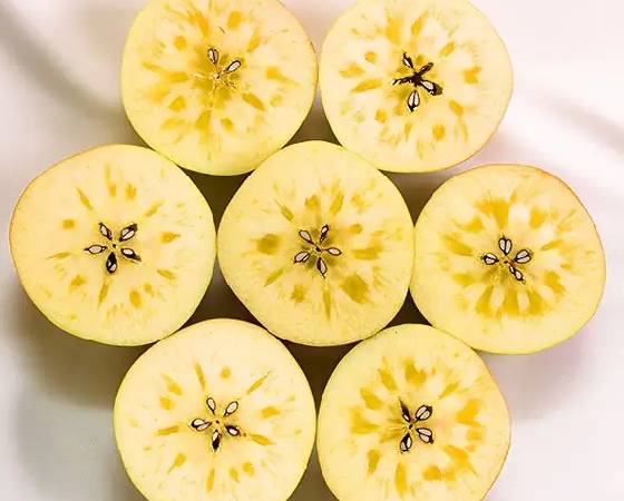 【予約】ぐんま名月 りんご・家庭用A(3kg・6~11玉)【いっちゃん林檎農園】