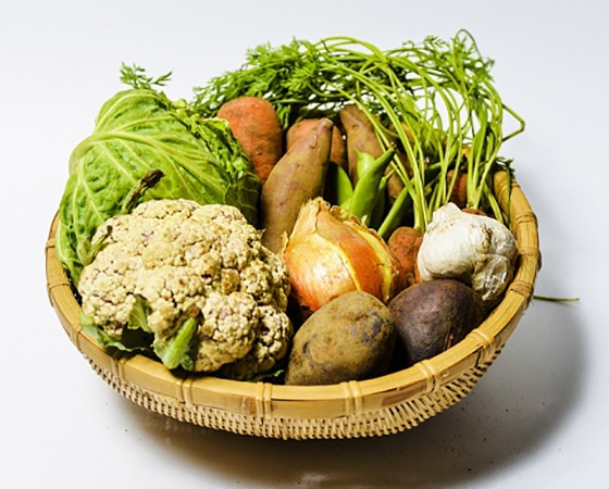 プレミアムモール限定お試しセットのお届け!肥料・農薬を使わないから美味しい野菜のお試しセット(10品×1回分)毎月20日以降のお届け!