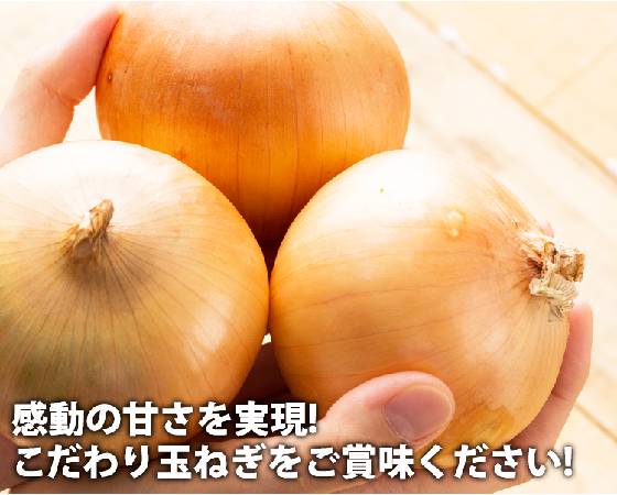 淡路島たまねぎ「かくし玉」5kg(18~25個)