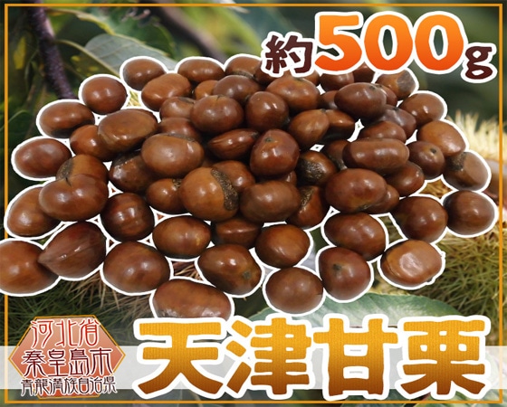 【予約販売】天津甘栗” 約500g【ポスト投函送料無料】※10月下旬よりお届け予定前後する場合がございます。