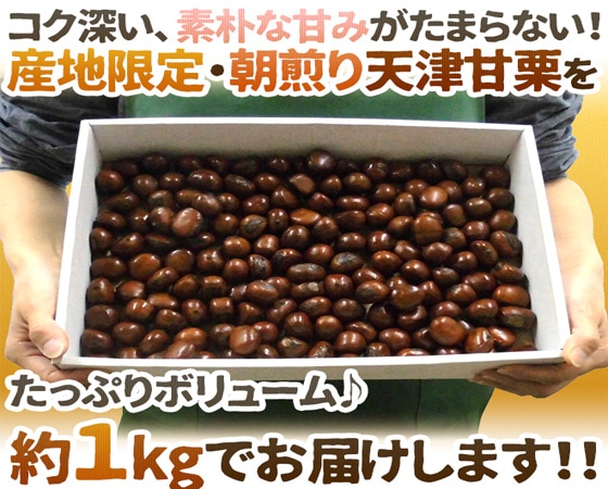 【予約販売】焼きたて・炒りたてを当日発送! ”天津甘栗” 約1kg こだわり産地※10月下旬よりお届け予定前後する場合がございます。