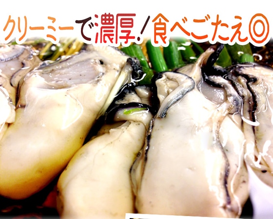 【送料無料】広島産 むき牡蠣 大粒Lサイズ以上 約1kg