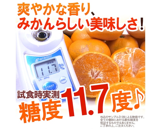 【送料無料】和歌山みかん 訳あり LLサイズ 約10kg【予約 11月末以降】