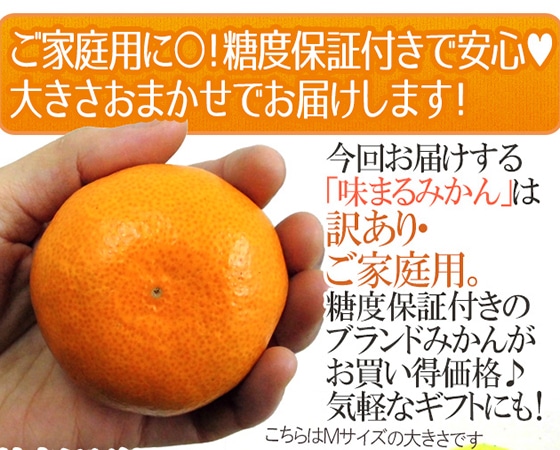 【送料無料】長崎産 西海 ”味まるみかん” 訳あり 約5kg 大きさおまかせ 【予約 11月末以降】