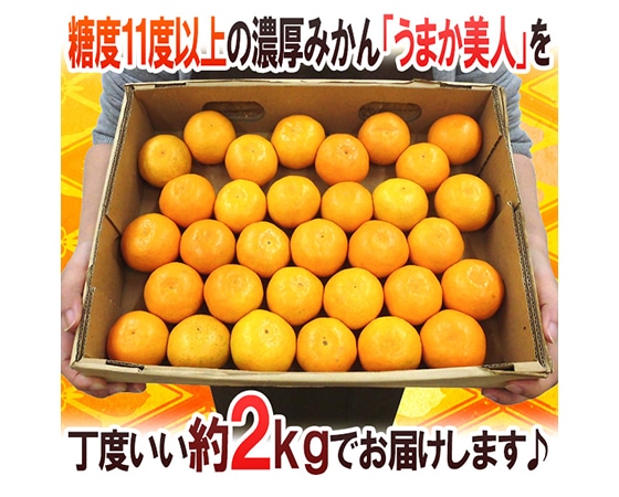 【送料無料】佐賀県 JAからつ ”うまか美人みかん” S/2Sサイズ 約2kg【予約 11月末以降】