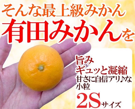 【送料無料】和歌山産 ”有田みかん” 秀品 SSサイズ 約10kg ありだみかん【予約 11月末以降】