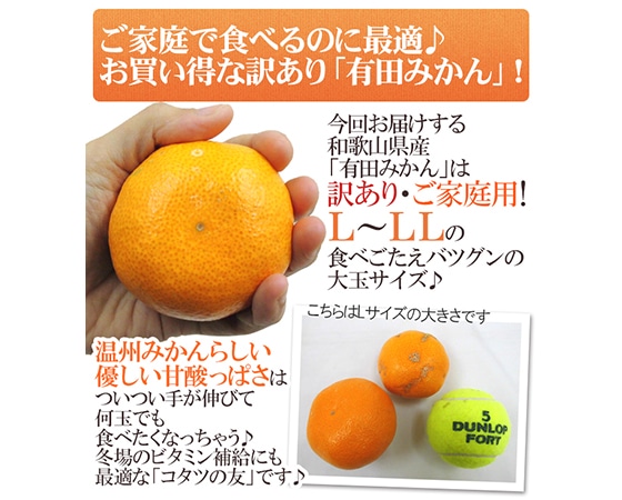 【送料無料】和歌山産 有田みかん 訳あり L~LLサイズ 約5kg ありだみかん【予約 11月末以降】