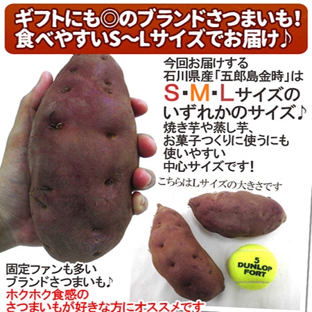 【送料無料】石川県 加賀野菜 ”五郎島金時” S/M/Lサイズ 約5kg さつまいも