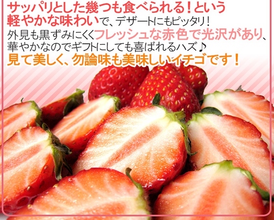 長崎産イチゴ ”ゆめのかいちご” 約300g×2pc 大粒1パック7~11粒前後【予約 12月~4月出荷】