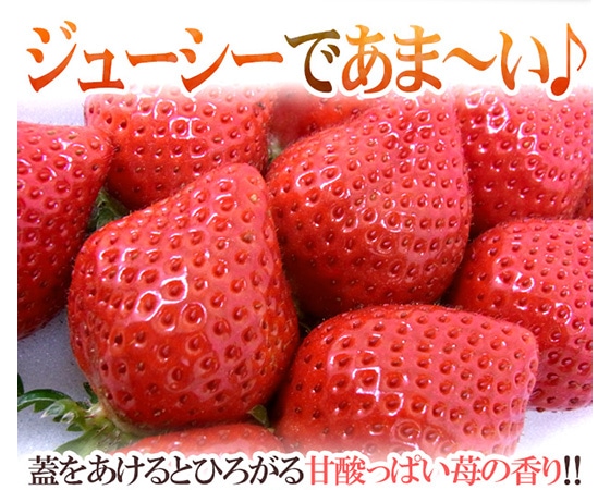 福岡産 博多 ”あまおういちご” 中粒 等級DX(デラックス) 1箱 2パック入り(1パック15粒前後/約270g)【予約 12月~4月】