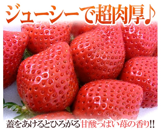 福岡産 博多 ”あまおういちご” 等級DX(デラックス) 1箱 2パック入り(1パック約270g)【予約 12月~4月】