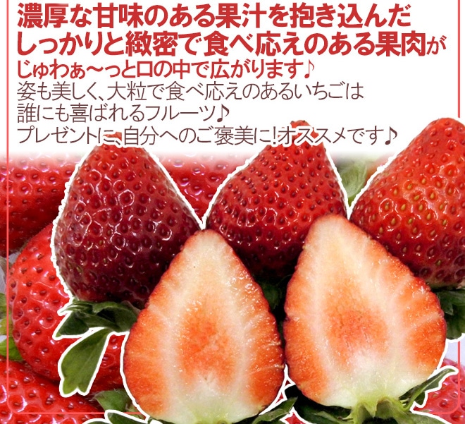 徳島県勝占産 ”さちのか” 2Lor3Lor大粒○ 約250g×4pc いちご【予約 12月~4月】
