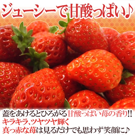 福岡産 博多 ”あまおういちご” 秀品 小粒 Sサイズ 4パック入り(1パック約270g)×《1箱》【予約 12月以降】