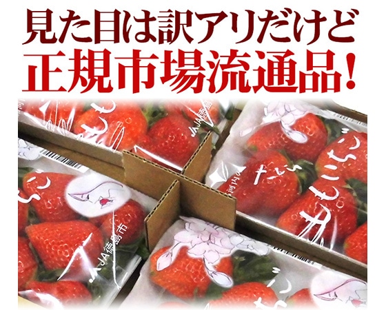 徳島県佐那河内村 ”さくらももいちご” 訳あり 約200g×4pc ワケ待ち【予約 12月~4月】