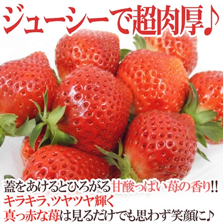 福岡産 博多 ”あまおういちご” 訳あり 約270g×4パック【予約 12月以降】