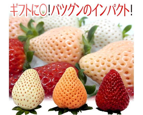奈良県産 ”三色いちごセット” 2pc(1pcあたり9~15粒前後 約250g)古都華・淡雪・パールホワイト【予約 12月以降】