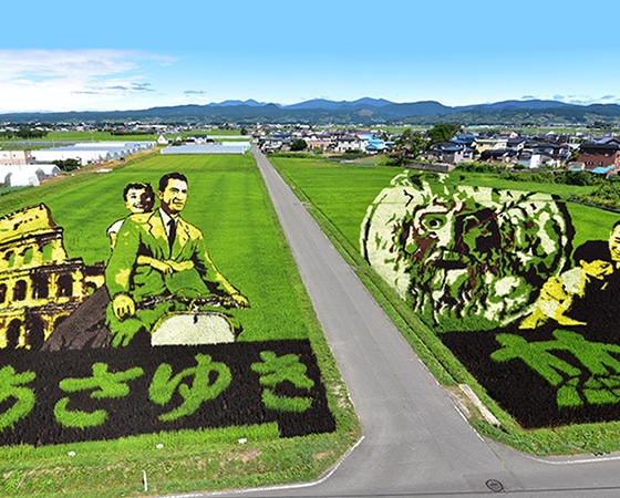 【令和元年産】青森県産あさゆき 2kg×2 出荷時期:11月上旬~