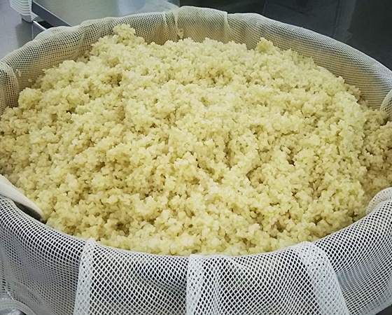 ガス釜炊きパックご飯(玄米) 200g×20袋