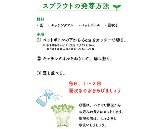 【おうちで育てる】スプラウトのオーガニック種子セット パクチーの入った3種セット