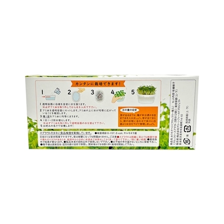 【おうちで育てる】ステイホームの自由研究パクチーの入った3種セット