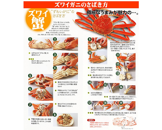 かに ズワイガニ 1尾 660g(ボイル済み)
