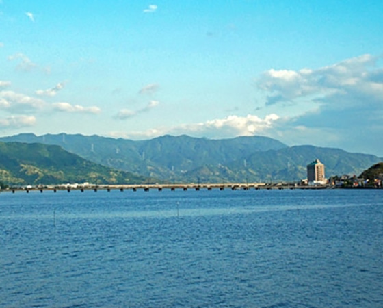 【令和二年産】佐賀県七夕コシヒカリ 10kg お届け:10月上旬~