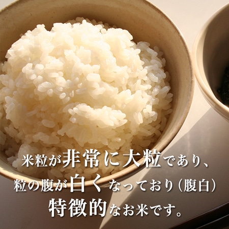 石川県能登産のとひかり 5kg(30年産)