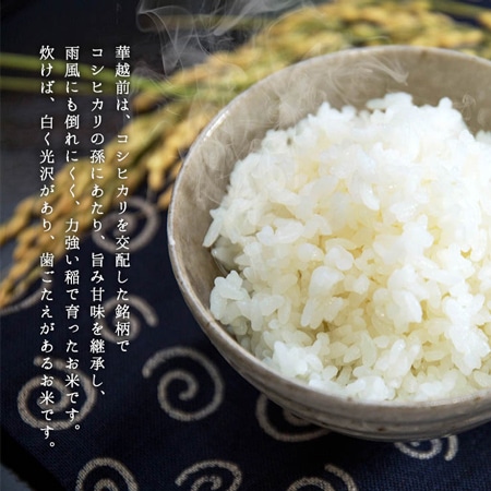 福井県産華越前 10kg(30年産)