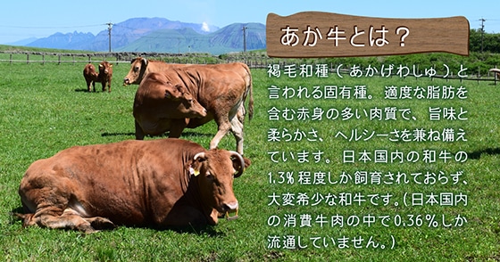 ASOのあか牛 肩ロース焼肉セット 300g×2