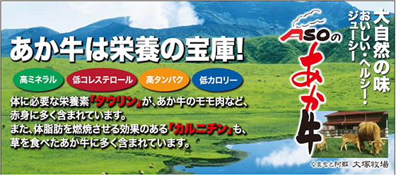 【熊本県】レッフェル監修 国産牛すじカレー 180g×4P