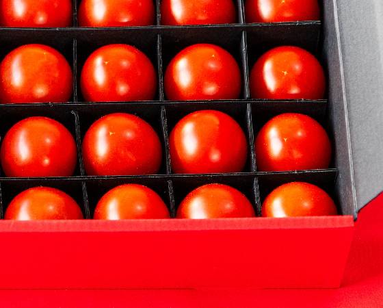 【ギフト】極高級とまとクルミちゃん 赤箱プレミアム 1kg