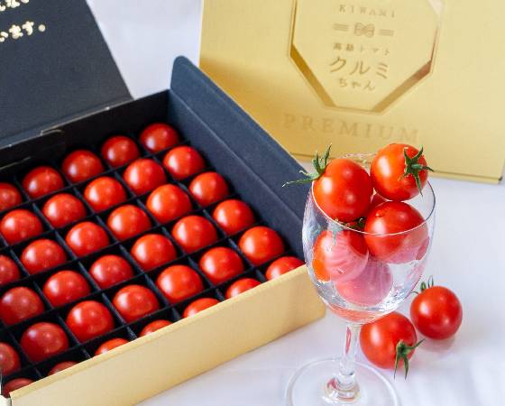 【ギフト】極高級とまとクルミちゃん 白箱プレミアム 1kg