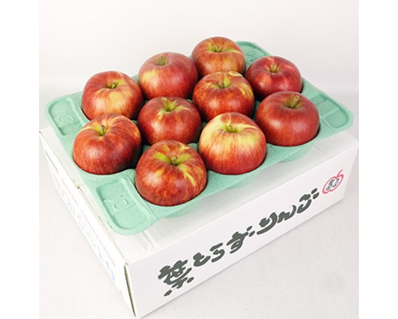 【予約】旬の葉とらずりんご詰め合わせ 3kg (約10~12個入り) ※品種おまかせ
