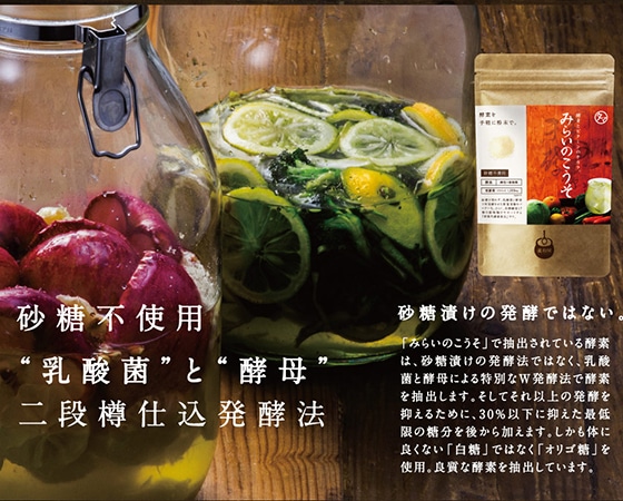 進化した酵素!みらいのこうそ 100g