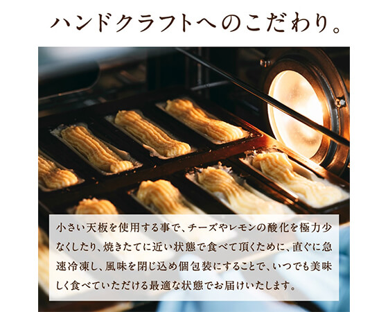 九州チーズタルト 5本入り×2箱