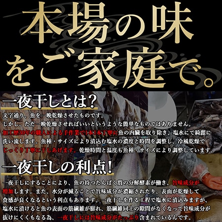 北海道寿都産の新鮮な魚を厳選!!創業百余年!!伝統の一夜干しセット三種(ほっけ・かれい・いか)